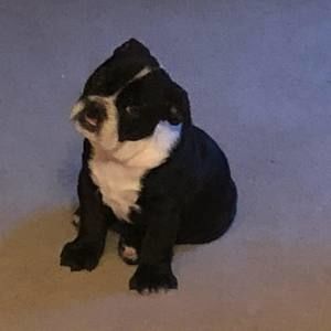 Meet your Posher, Terri